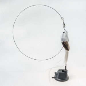 Interactive Feather Fun